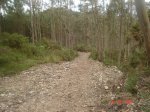 DSC03848.jpg