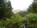 DSC03837.jpg