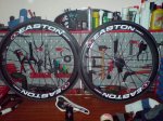 DSC00111.jpg