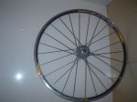 DSC00256.JPG