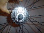 DSC00257.JPG