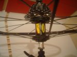DSC00259.JPG