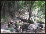 Corredor Verde dos Bahias 2.jpg