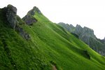 IMG_1069.JPG