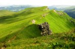 IMG_1071.JPG