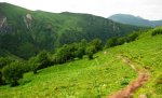 IMG_1091.JPG