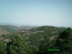 IMG_0003.jpg