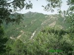 IMG_0034.jpg