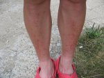 TravesÃ­a CantÃ¡brica 2009 210.jpg