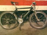 Cannondale mia.jpg