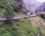 Foto0307.jpg