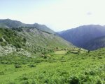 Foto0321.jpg