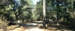 Panorama 1 (Medium).JPG