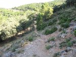 IMG_2065.jpg