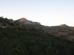 IMG_2055.jpg
