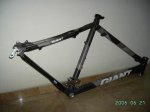 giant1derecha.JPG