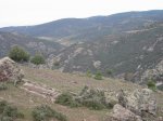 mini-IMG_2492.JPG
