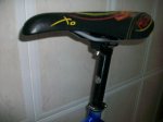 100_0241.jpg