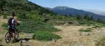Panorama 2.jpg