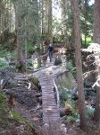 IMG_0047.jpg