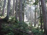 IMG_0051.jpg