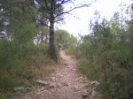 DSCN3291.JPG