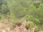 DSCN3297.JPG