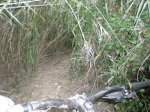 DSCN3304.JPG