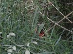 DSCN3305.JPG