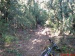DSC00294.jpg
