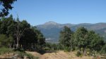 Imagen 004_640x359.jpg
