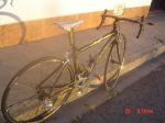 DSC00736.jpg