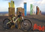 Sx trail totem.jpg