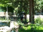 100_0915.jpg