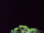 100_2666.JPG