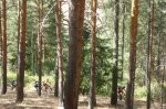 Foto65.JPG