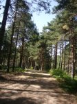 Foto67.JPG