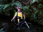 DSC00117.jpg