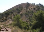 P6278996_resize.jpg