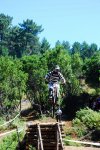 PICARAÃA 2009 220.jpg