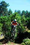 PICARAÃA 2009 227.jpg