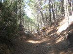 IMG_4209.jpg
