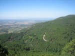 IMG_4215.jpg
