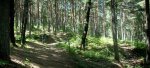 Panorama 6 (Medium).JPG