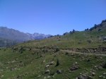 IMG_0527.jpg