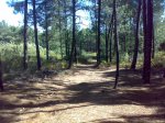 250720091083.jpg