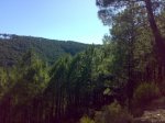 250720091095.jpg