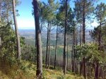 250720091105.jpg