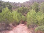 Foto0100.jpg