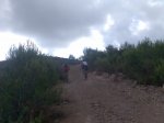 Imagen008.jpg